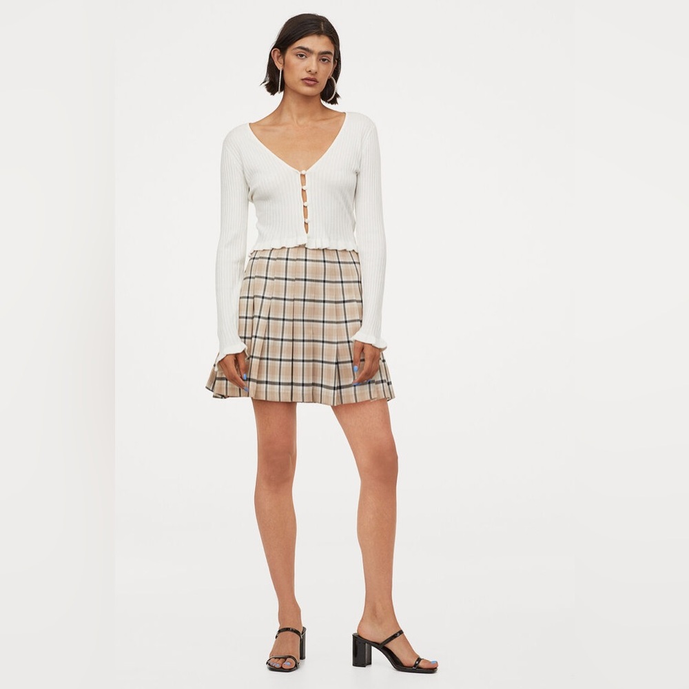 H&M Pleated Skirt